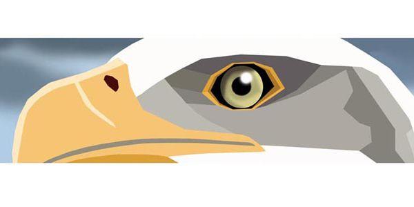 Illustration:: teaser illustration